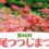 第46回広尾つつじまつり